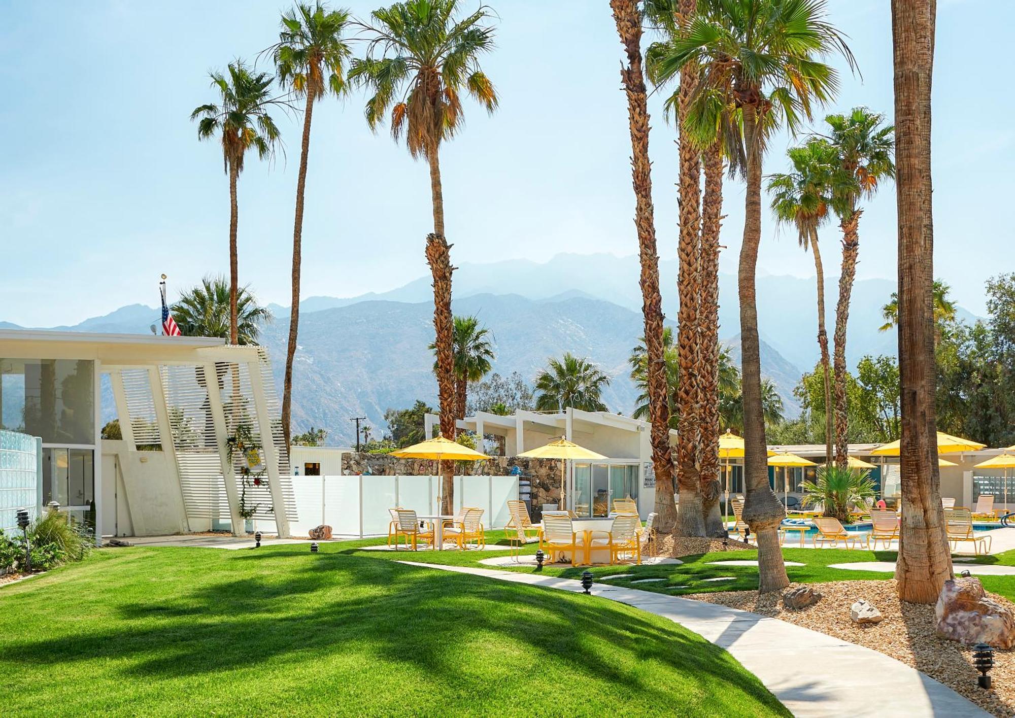 The Monkey Tree Hotel Palm Springs Dış mekan fotoğraf